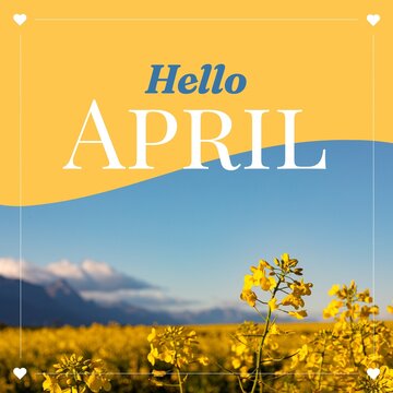 Fototapeta Composition of hello april text over flowers on yellow and blue background