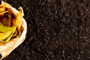 Overhead of bag of organic fruit and vegetable waste for composting on dark soil, with copy space