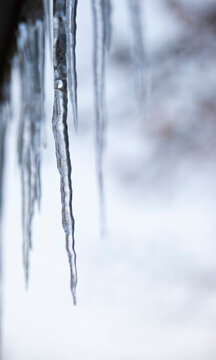 Glistening icicles hang on the ledge on a snowy day.