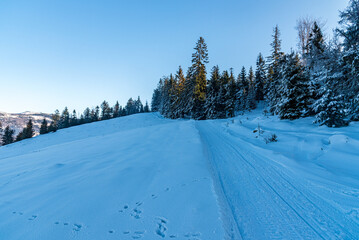 Snow covered trail with frozen trees and clear sky in winter Beskid Slaski mountains in Poland