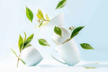 tea cups with green leaves balanced in a stack isolated over light blue backround, trendy...