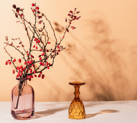 Still life from a glass vase with a branch of barberry and a glass wineglass.