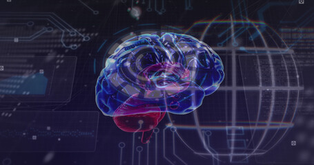 Fototapeta na wymiar Image of brain, data processing and globe in navy space