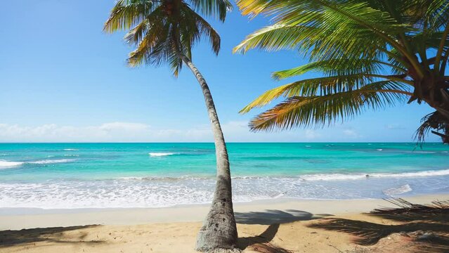 Bright coconut palms on a tropical beach and azure sea on a sunny summer day. Big white waves on yellow sand. Picturesque seascape. Exotic beach for relaxation in the resort.