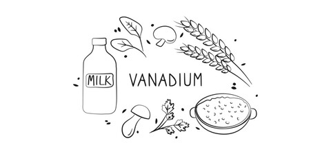 Vanadium-containing food. Groups of healthy products containing vitamins and minerals. Set of fruits, vegetables, meats, fish and dairy.