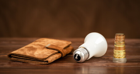 Wallet, lightbulb and money coins. Energy savings, efficiency, save power or energy crisis banner....