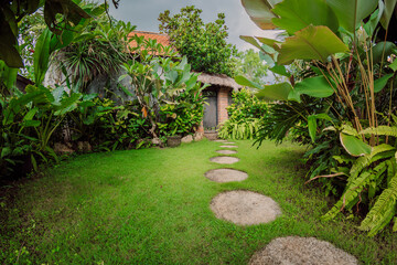 Landscape with tropical plants and path, natural landscaping panorama in garden. Beautiful view of nice landscaped garden in residential backyard.