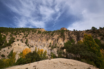 autumn forest against the backdrop of mountains