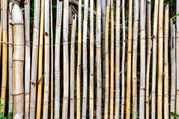 Detail of an old beige bamboo fence