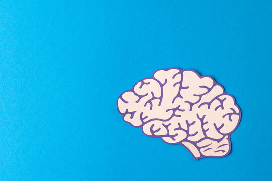 Composition of brain on blue background