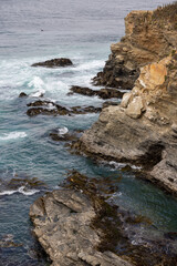 Fototapeta na wymiar Punta de Lobos in Pichilemu, Chile