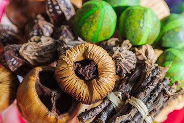 Autumn composition with various plants and colours.