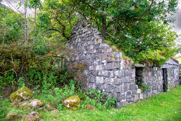 The Hidden Village of Galboly- Irland - GOT - game of throne - verfallenes Gebäude mit Baum