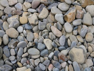 stone background of round cobblestones of different shades of gray and brown, natural texture of rounded river or sea stones full frame, stones and minerals on the coast of the sea or river