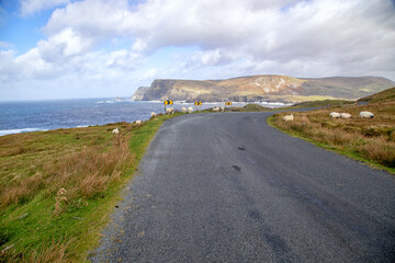 wundersch&ouml;ne K&uuml;stenstra&szlig;e mit Schafen in County Donegal - Irland