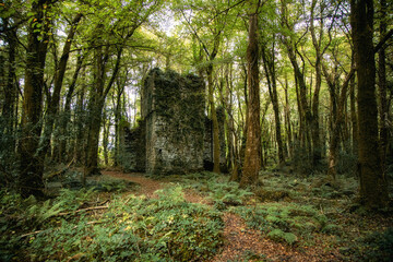 Ballykine Castle in Irland mitten im Wald