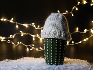 Cactus in a warm winter hat. Energy crisis in Europe. Finance crisis. Economy problem, War...