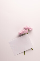 Composition of flowers and envelope on white background