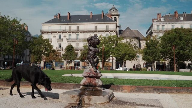 un perro se acerca a una fuente con una escultura en mitad de un parque