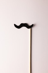 Composition of fake moustache on stick on white background with copy space