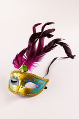 Composition of colourful mardi gras carnival mask with feathers on white background with copy space