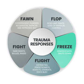 Fear Responses Model infographic presentation template with icons is a 5F Trauma Response such as fight, fawn, flight, flop and freeze. Mental health and Personality Type concept. Education vector.