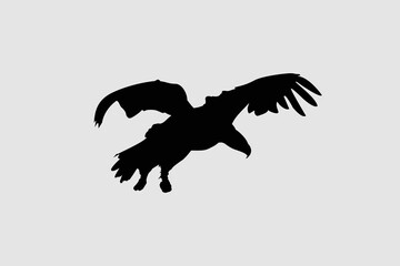 Eagle Logo, an eagle icon flying up. Shadow of an eagle, a black shape