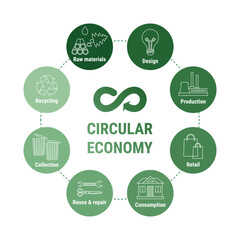 Circular economy line infographic in green icons diagram. Sustainable business model. Scheme of product life cycle from raw material to production, using and recycling. Flat line vector illustration