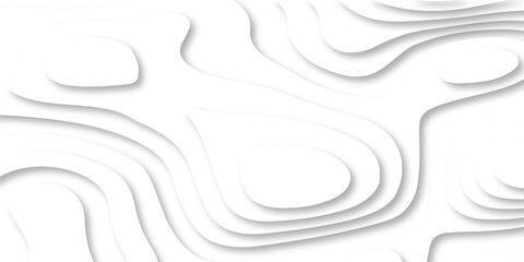 Abstract Luxury paper cut background, Abstract decoration, white pattern lines gradients, 3d Vector illustration, topographic canyon map light relief texture, curved layers.