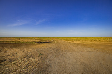 a road in the middle of the desert in kalmykia