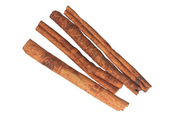 cinnamon sticks on plain white background