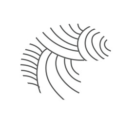 pastel abstract line hand drawn element
