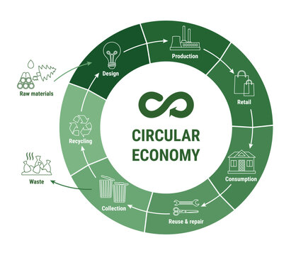 Circular economy line infographic on green diagram. Sustainable business model. Scheme of product life cycle from raw material to production, using, recycling. Flat line vector illustration