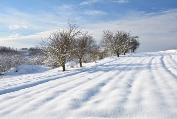 Winter wonderland landscape.