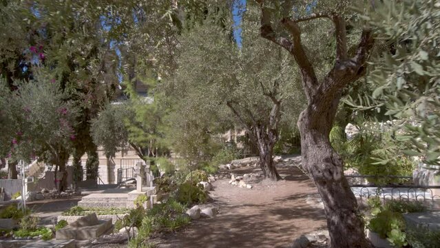 View of the Orthodox cemetery at the Church of St. Mary Magdalene in Jerusalem.