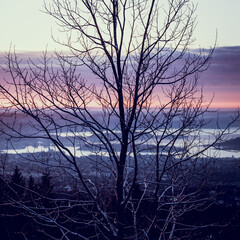 sunnrise winter