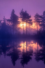 Misty sunrise by a forest lake