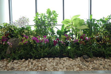 Garden with green plants and stones in the building