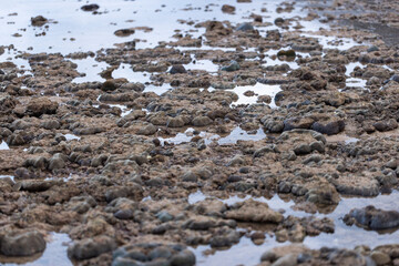 Shallow coral reefs come out of the water at low tide.
