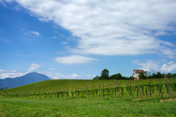 Landscape near Santa Giustina and Sedico, Belluno province