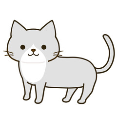 立つシンプルなハチワレグレー猫