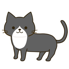 立つシンプルなハチワレ黒猫