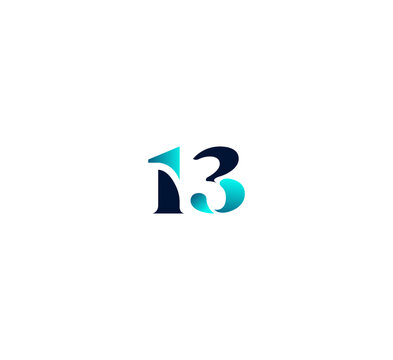 13 Logo