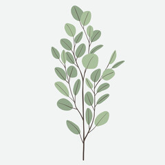 Obraz premium Freehand drawing of Eucalyptus branch.
