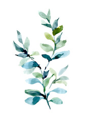 Watercolor tropical leaf, eucalyptus branch on a white background. Botanical watercolor illustration for summer designs