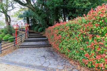 小城公園の桜祭り「佐賀県」