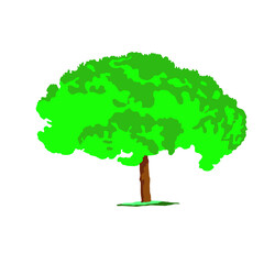  Plant flower fashion illustration art