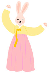hanbok Traditional Korean Dress , animal rabbit, fox, cat. 