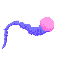 Fashion illustration art. Stylish retro object