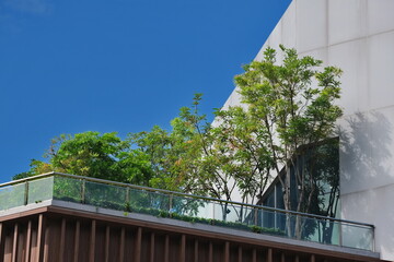 Modern balcony garden soars into blue sky